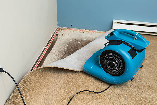 Best Carpet water damage restoration  in Spring City, UT